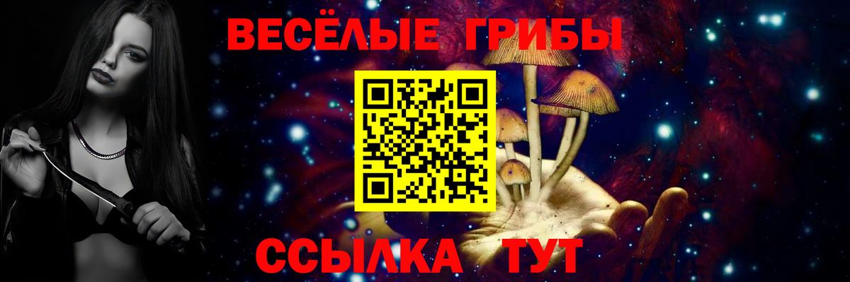 Пугачёв  Псилоцибиновые грибы Magic Shrooms  Вход с VPN  дарнет шоп  Псилоцибиновые грибы Psilocybine cubensis 